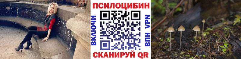 сколько стоит  OMG зеркало  Галлюциногенные грибы Cubensis  Алексеевка 
